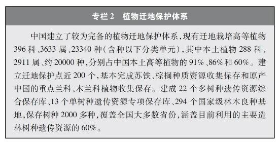 专栏2