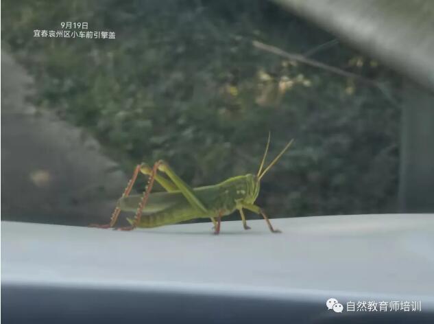 自然5