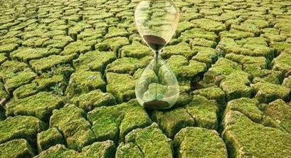 政策 | 财政部提前下达2021年土壤污染防治专项资金预算