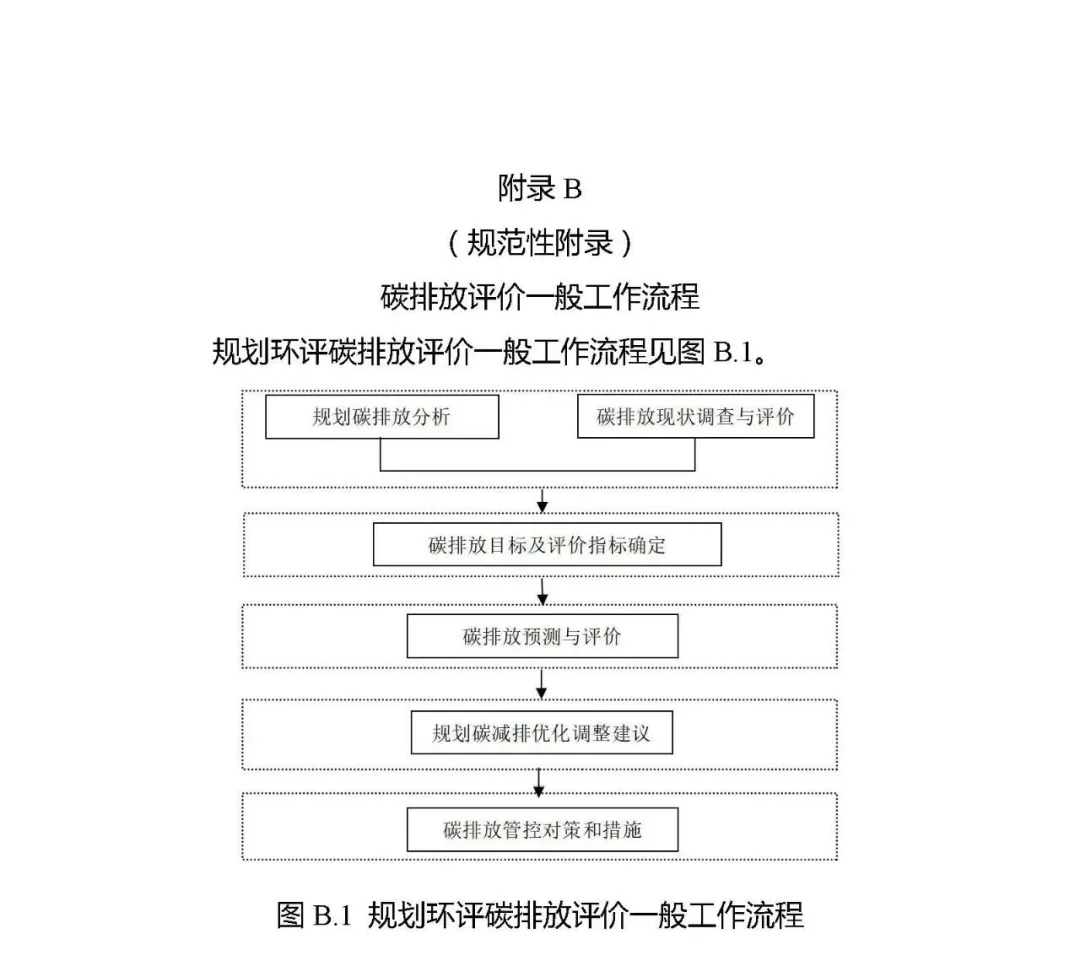 13.webp (1)