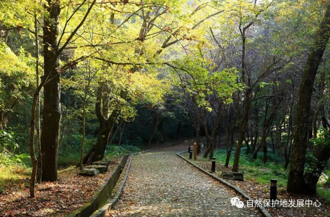 QQ截图20210311175152