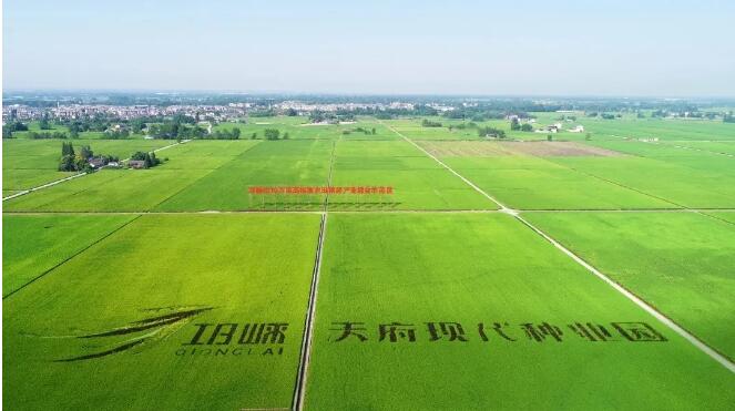 邛崃市2 邛崃市2