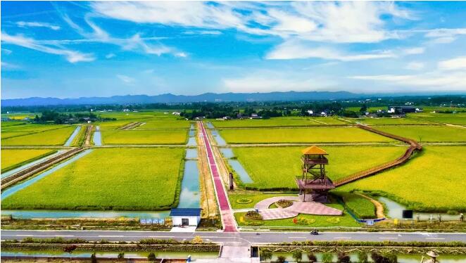 邛崃市3 邛崃市3