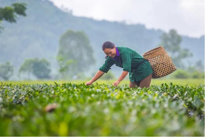 世界环境日2 世界环境日2