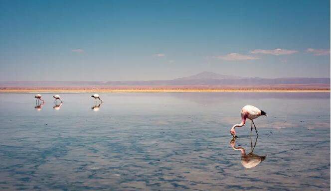 世界环境日4 世界环境日4