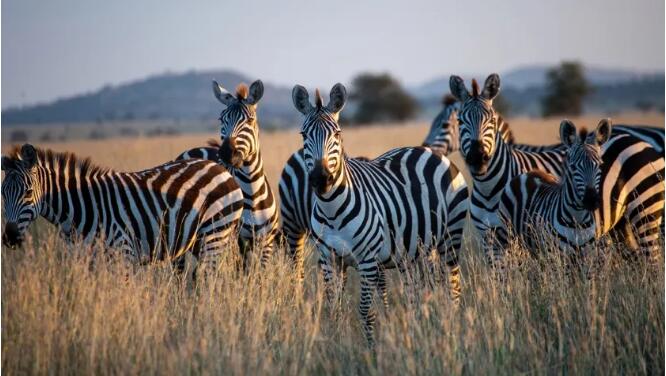 世界环境日5 世界环境日5