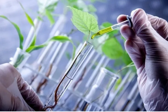 EDF观点3 EDF观点3