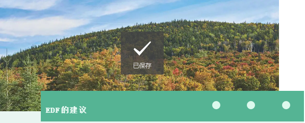 EDF观点4 EDF观点4