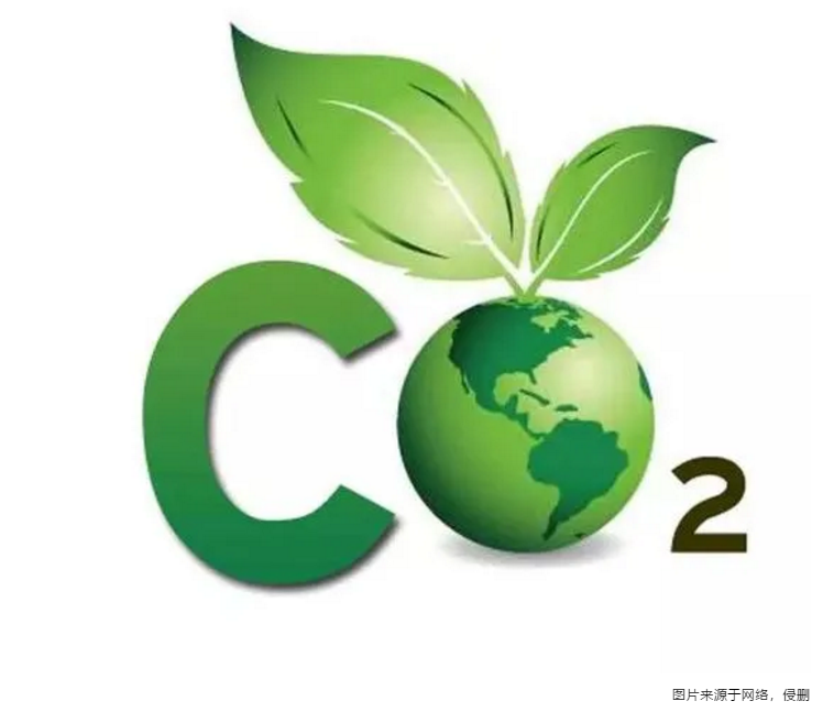 RCR新文1 RCR新文1