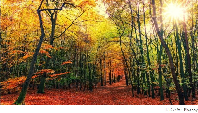 世界环境日2 世界环境日2