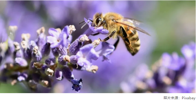 世界环境日4 世界环境日4