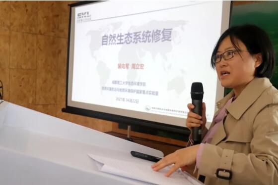 绿色修复3 绿色修复3