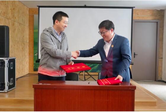 绿色修复9 绿色修复9