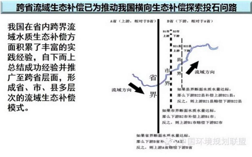 分类4