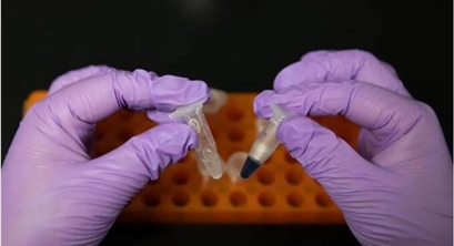 碳中和重大技术突破!中国科学家首次实现二氧化碳人工合成淀粉
