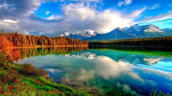 中国环保产业协会1