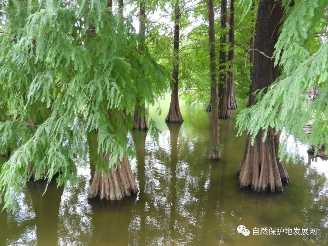 微信图片_20221128134655