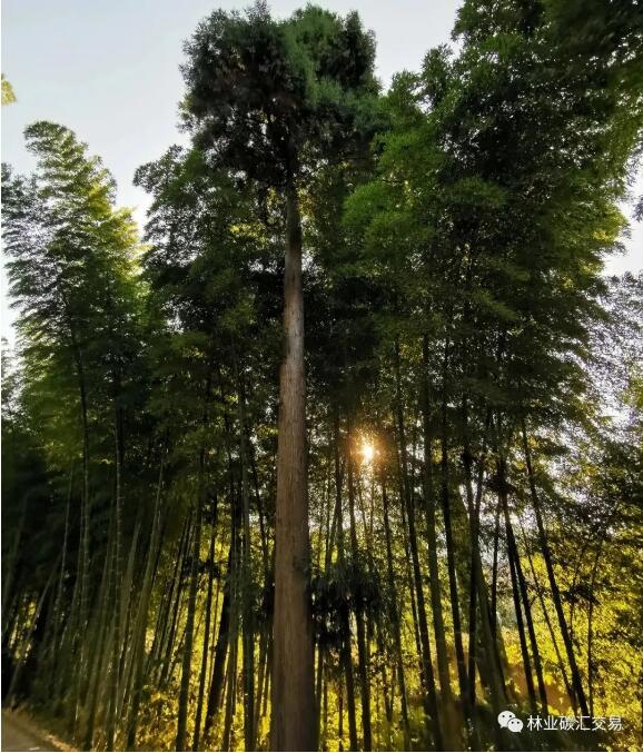 QQ截图20220424115009 QQ截图20220424115009