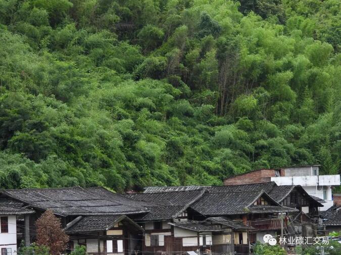 QQ截图20220620191524