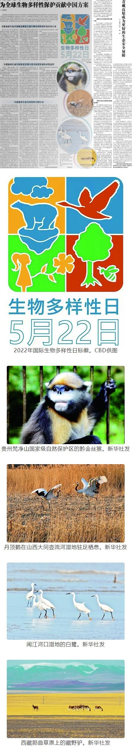 QQ截图20220606104832 QQ截图20220606104832