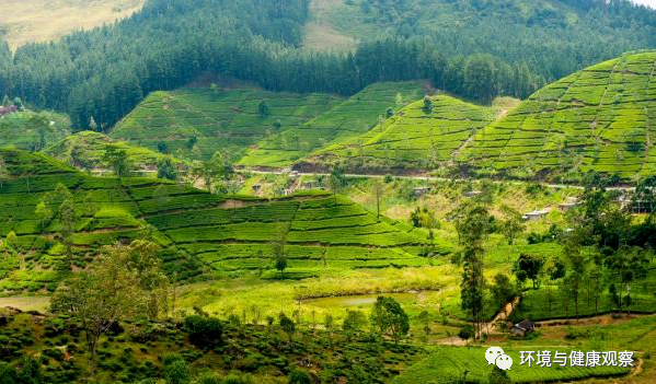 QQ截图20220718134012