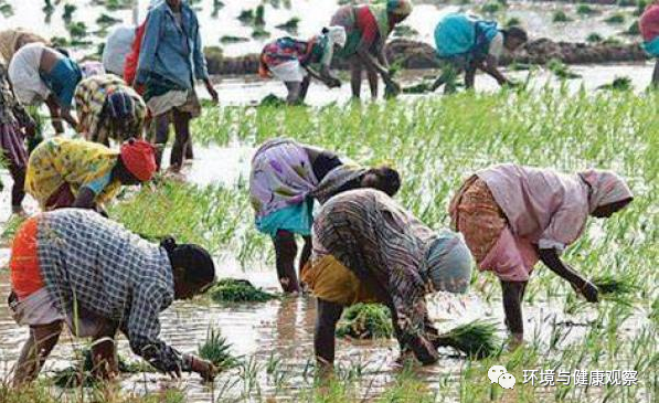 QQ截图20220718134030