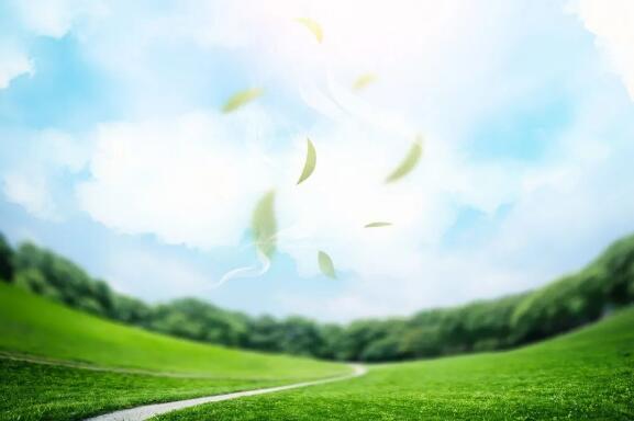 QQ截图20220705180456