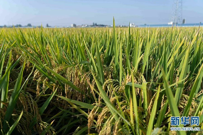 QQ截图20230109151651