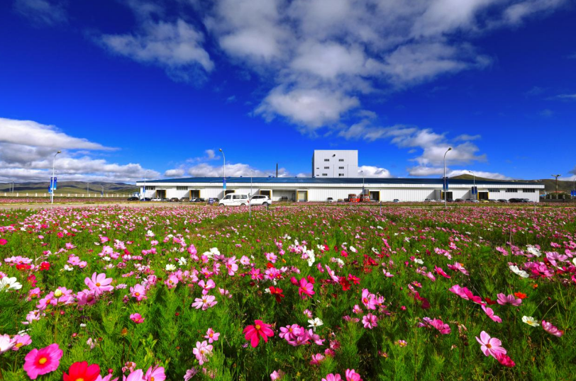 企业微信截图_20260130165231